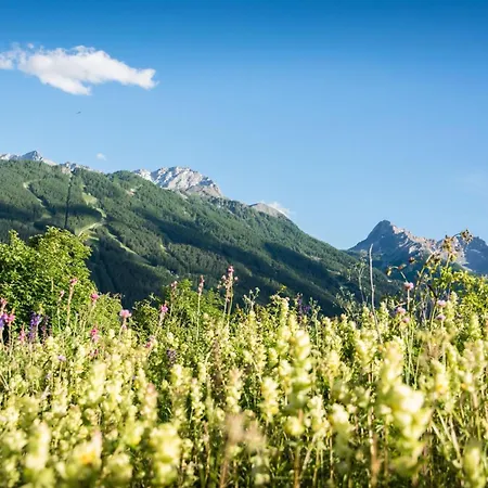 Bardonest - Happy Bardonecchia
